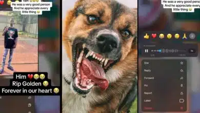 Nigerian lady shares final voice note of best friend as he dies from dog bite