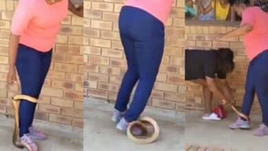 Shocking moment fearless woman crushes serpent's head with her feet