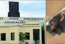 Tribalism: Tearful audio of EBSU student who killed herself over repeatedly failure