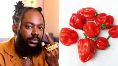 Man calls out Adekunle Gold for buying 8 pieces of pepper for N1K because of his song "Rodo", he reacts