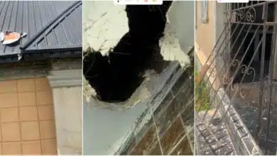 Video of house burgled in Benin without mercy goes viral; everything inside stolen