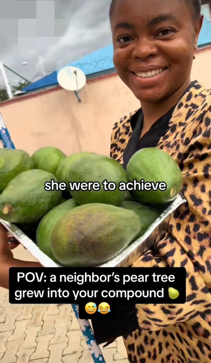 Slayqueen steeze pear neighbour's tree
