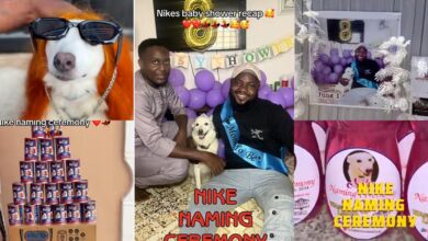 Nigerian man organizes naming ceremony for dog, Nike, and her 7 puppies