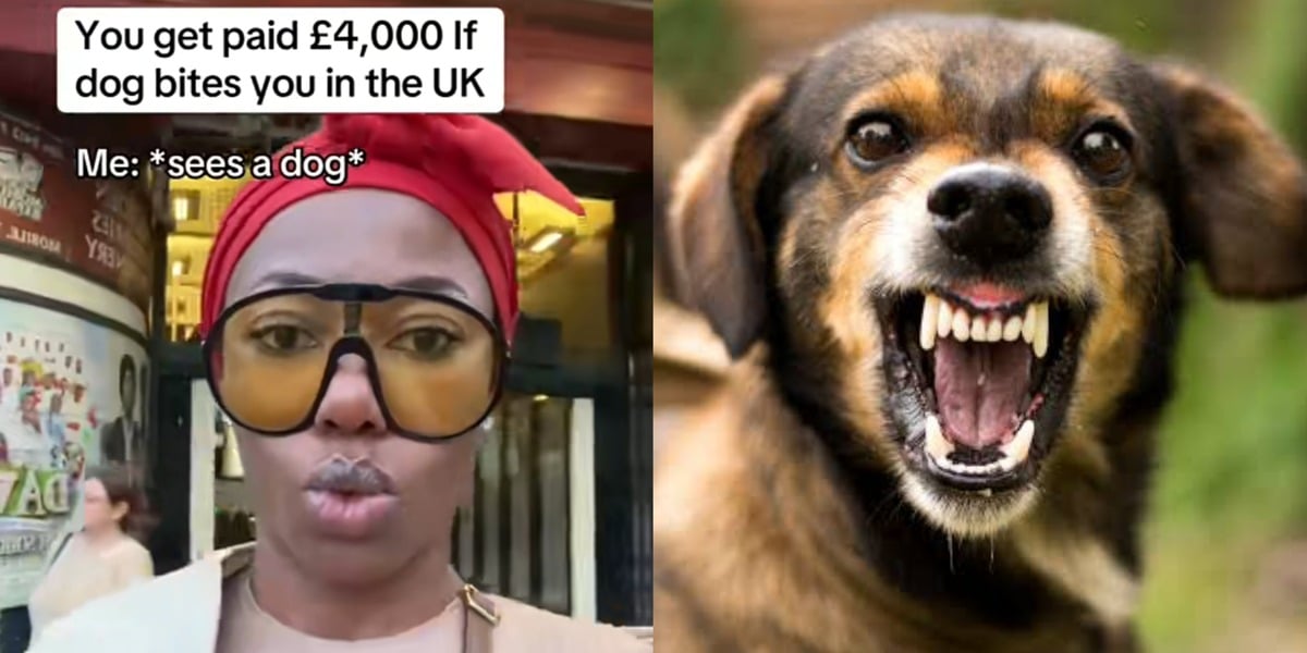 Nigerian woman vows never to surrender as she finds out she'll be paid $4000 in UK if bitten by a dog