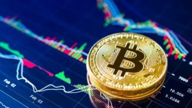 Crypto Foundations: Building a Solid Investment Base