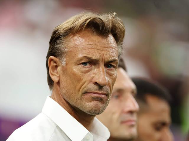 NFF denies contacting Herve Renard for Super Eagles coaching role