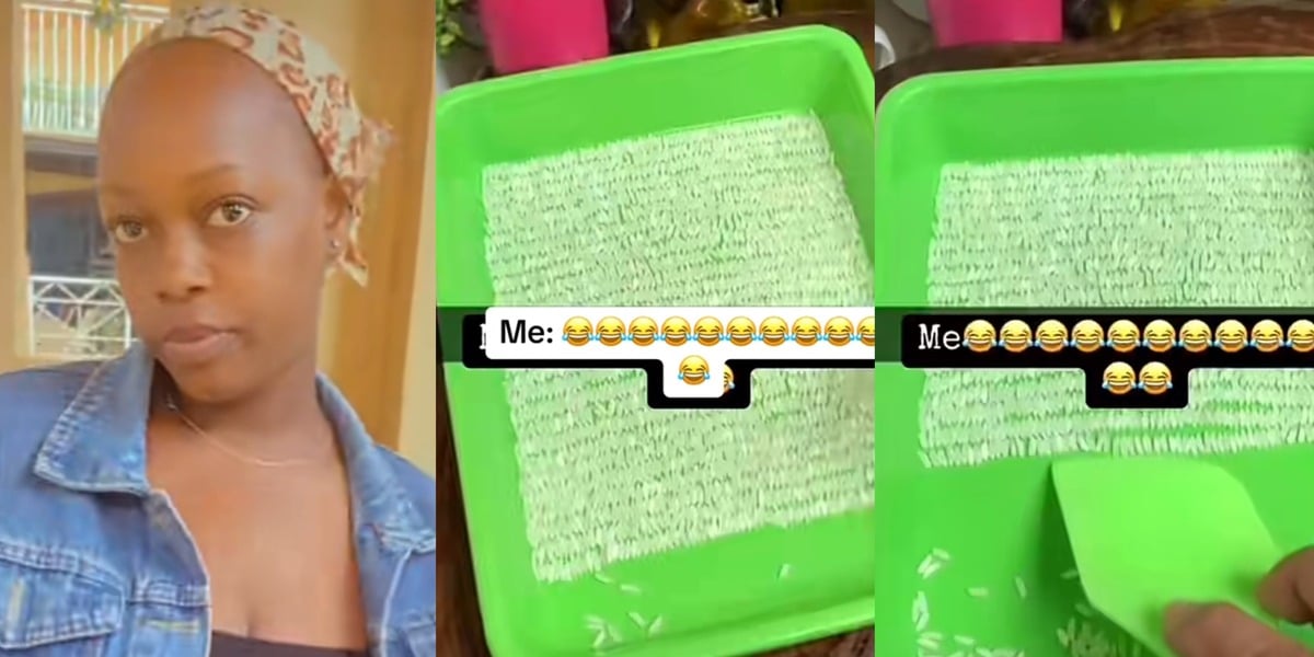 Nigerian lady chooses counting rice over trusting men, sparks social media buzz