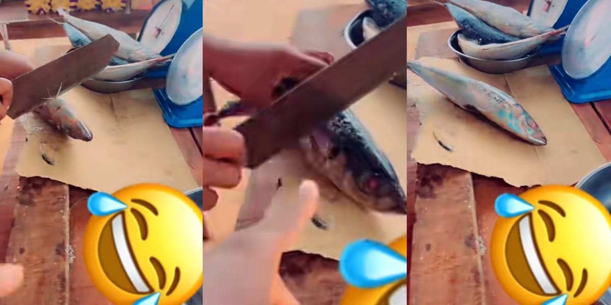Nigerian man goes viral demanding fish seller divide fish into 30 pieces