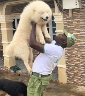 Corper shares how his dogs welcomed him after 3 weeks at NYSC camp