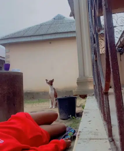 Lady pretends to faint in front of her 'Ekuke' dog, it reacts