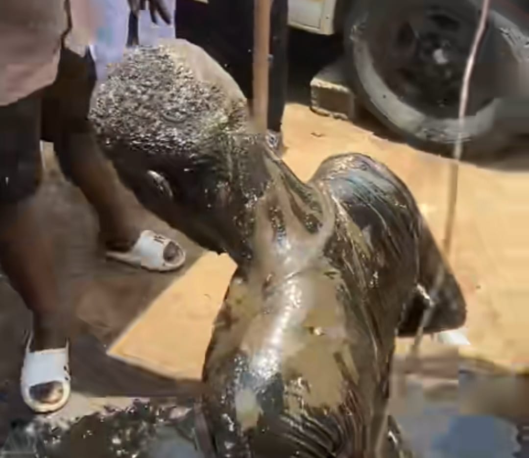 Mechanic apprentice’s graduation celebrated with black engine oil bath in trending video