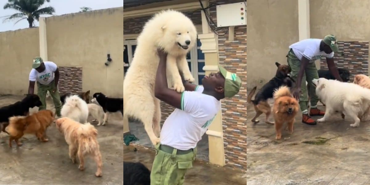 Corper shares how his dogs welcomed him after 3 weeks at NYSC camp