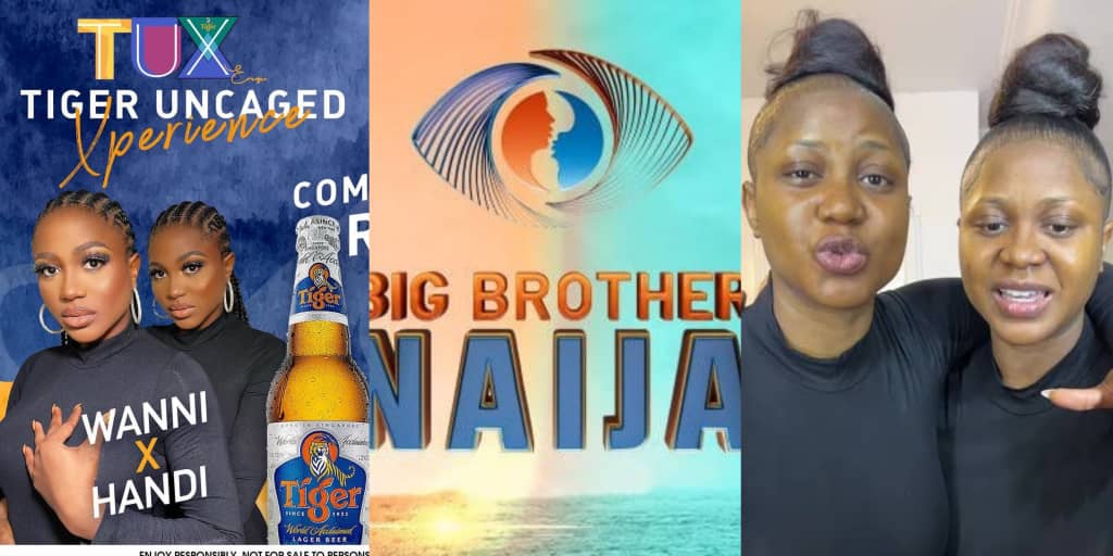 BBNaija: "You are m..." - Viewer claims Wanni X Handi surpass Ruthee, flaunts their achievements online
