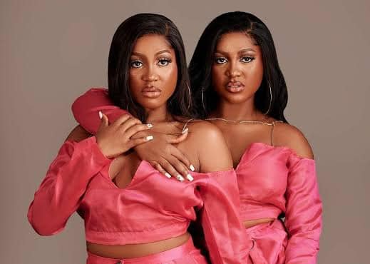 BBNaija: "They are so hilarious" - Viewer declares herself a fan of Wanni X Handi after diary session video