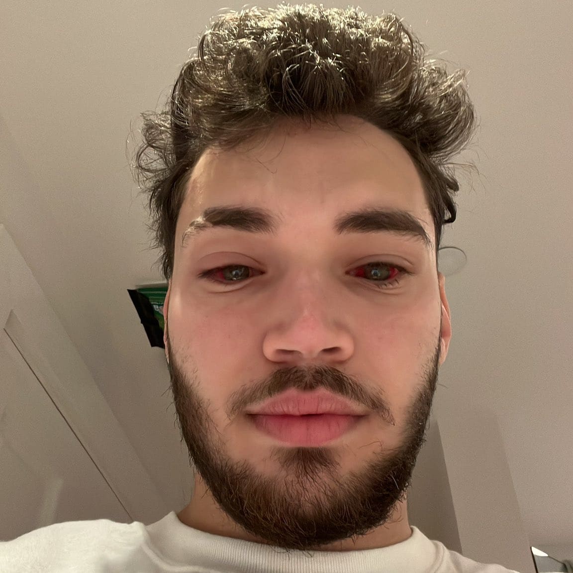 Man bets  million on Donald Trump to defeat Kamala Harris in the US presidential election