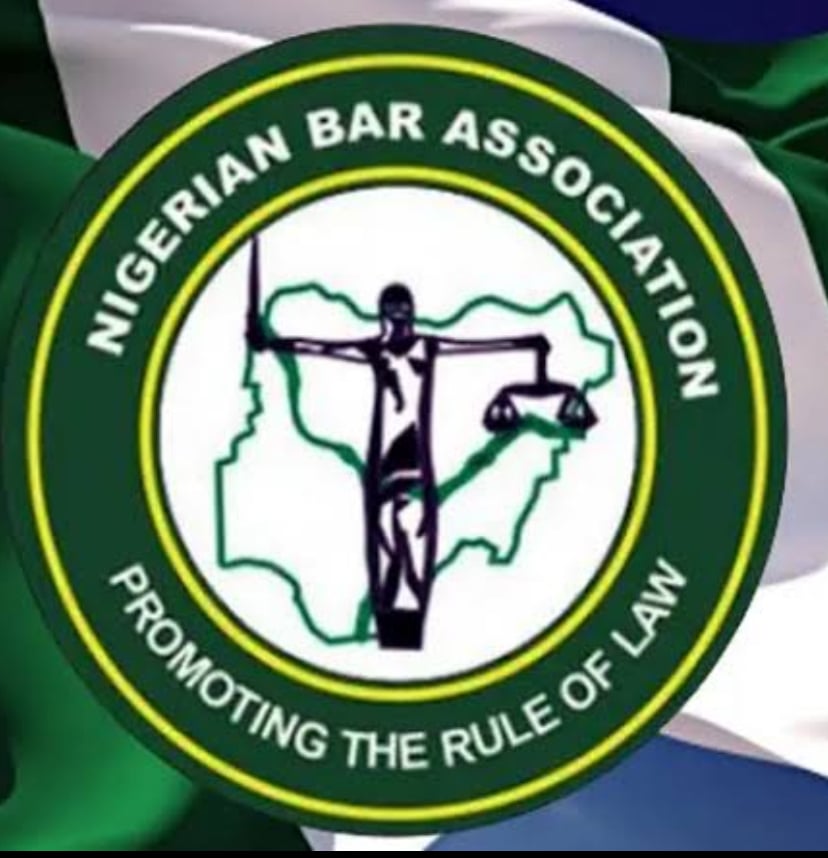 Rivers: Reinstate Gov Fubara immediately - NBA to Tinubu