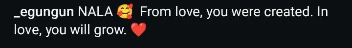 Egungun of Lagos Instagram post