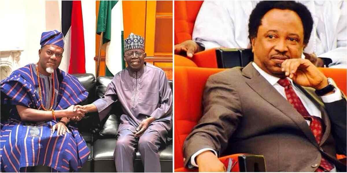 FG moves to appoint Reno Omokri, Shehu Sani, Ikpeazu, Ugwuanyi as Ambassadors