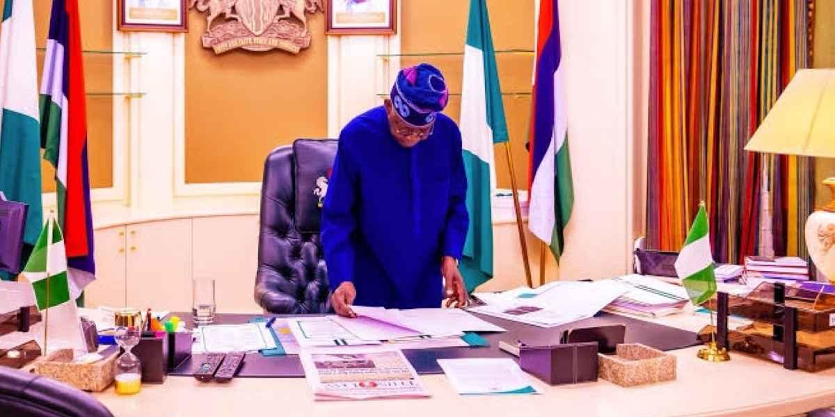 "We are sorry" - Presidency reacts to error in federal appointment list