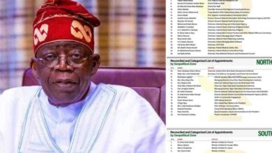 “No bias in Tinubu’s appointments: 71 northerners, 63 southerners so far” - Presidency