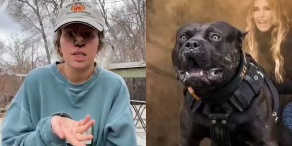 Woman chooses to keep dog after it bit off her nose