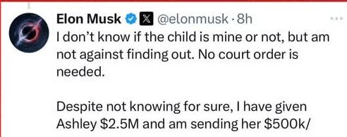 Elon musk Instagram post 