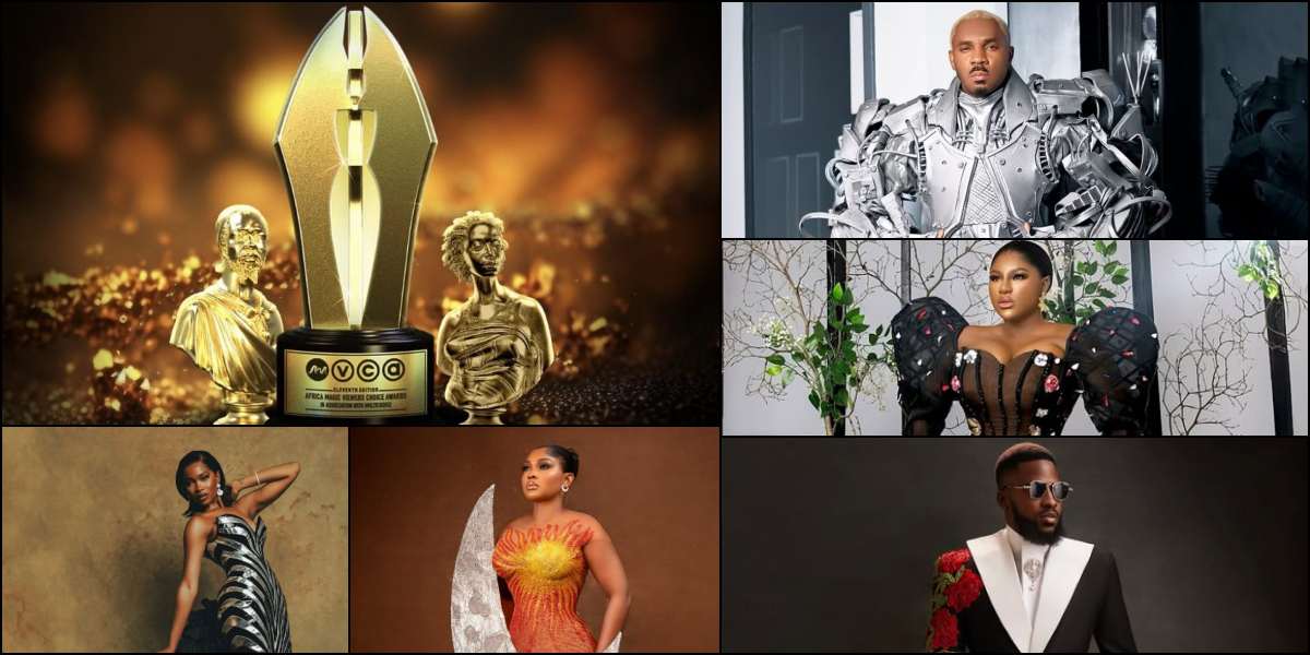 11th AMVCA 2025 Winners Full List