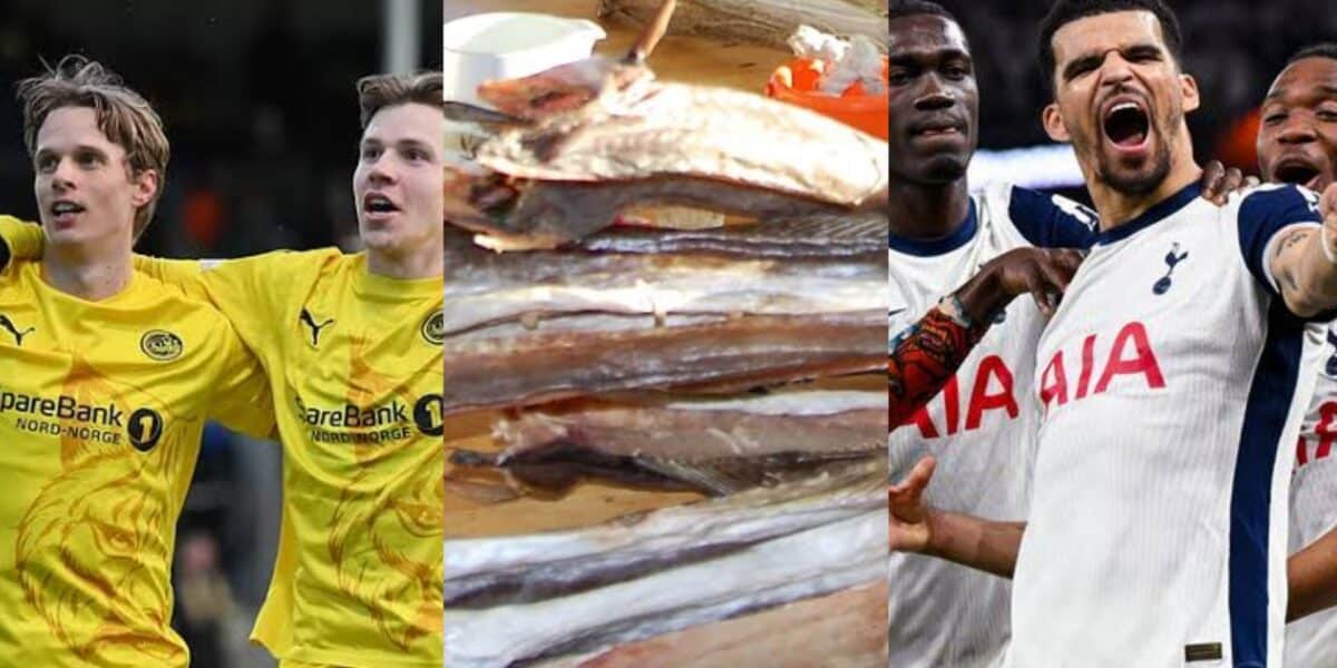 Fish for football: Bodo/Glimt fan reportedly trades 5kg fish for Spurs semifinal ticket