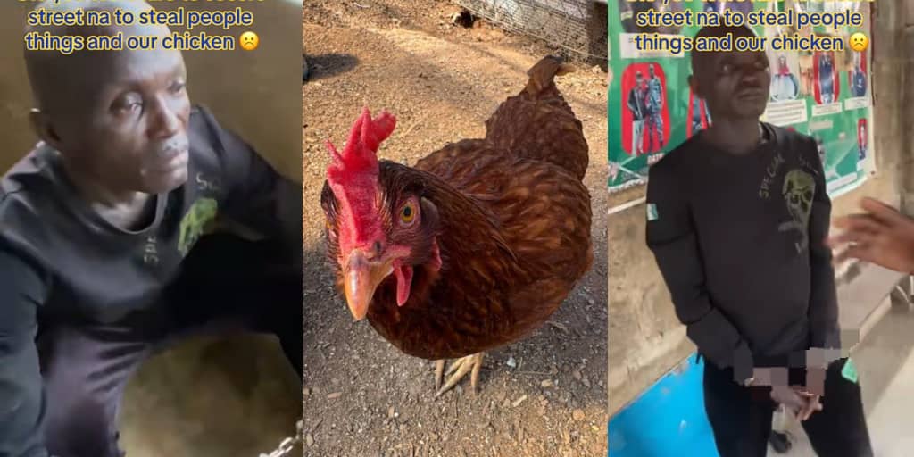 Security personnel hired to guard community arrested for stealing chickens and belongings