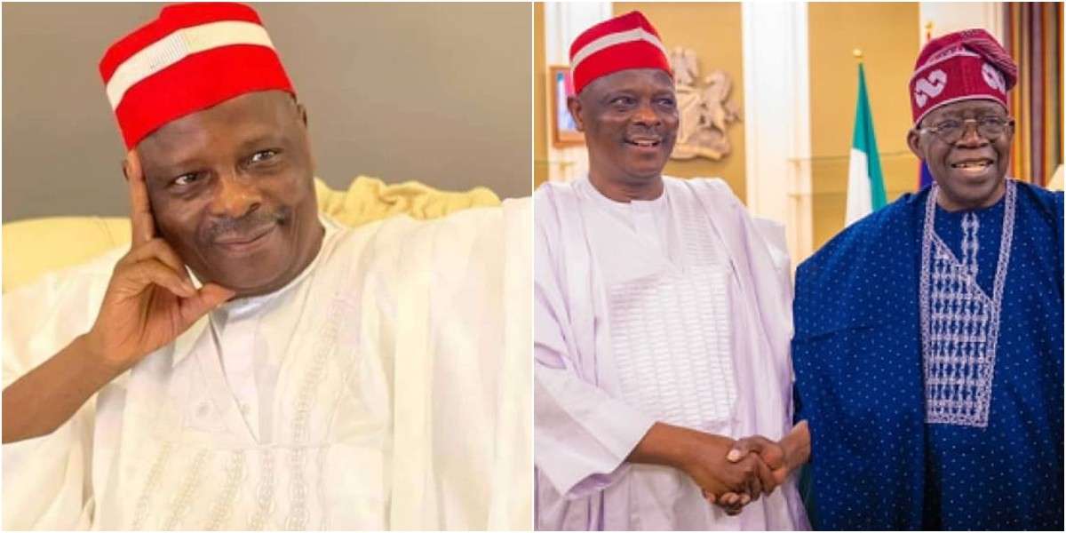 “Kwankwaso betrayed us, but APC can have him – NNPP