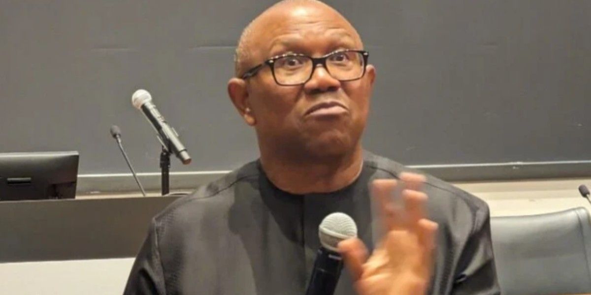 2027: "I’ll fix Nigeria in 2 years, serve one term" - Peter Obi
