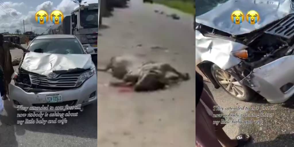 Man cries out as Fulani cow allegedly damages his car with family inside