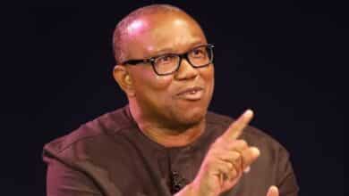Peter Obi's supporters suspend birthday fundraising amid public backlash