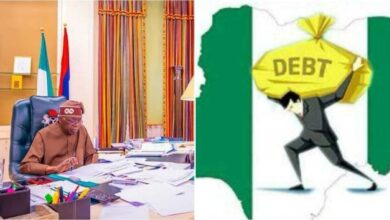 Debt: “Borrowing isn’t a sin” - Presidency
