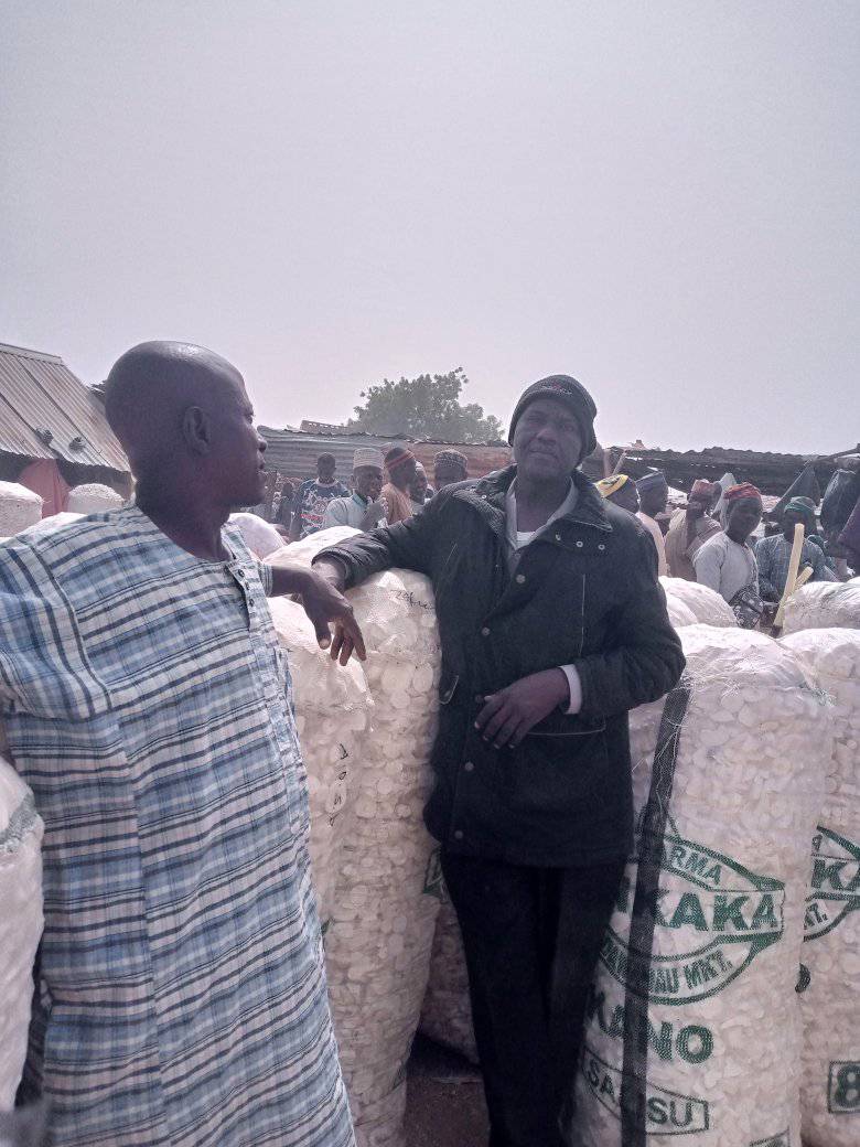 professor youths vegetable