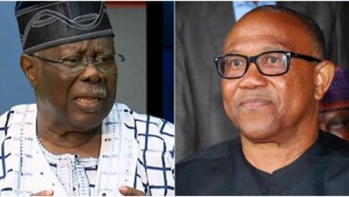 ADC Coalition: "I don’t know what Peter Obi is doing there" - Bode George