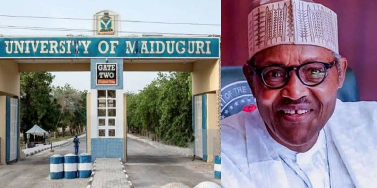 Buhari university Maiduguri