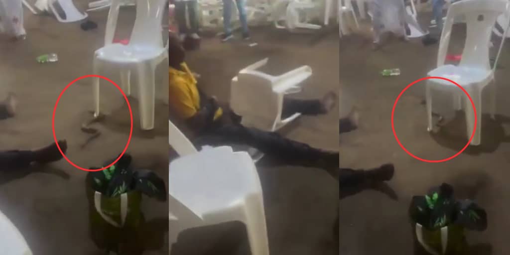 Worshipper allegedly vomits snake during deliverance