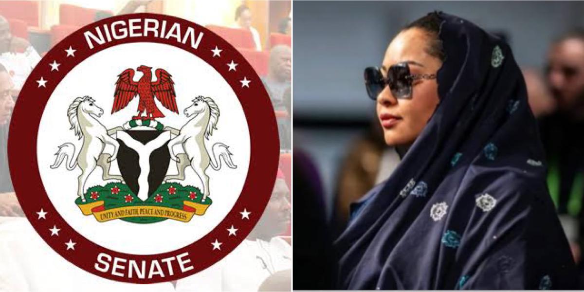 “Your return is illegal” - Senate to Natasha