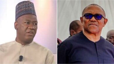 2027: “Peter Obi should not accept coalition’s VP slot, he deserves presidency” - Datti Baba-Ahmed