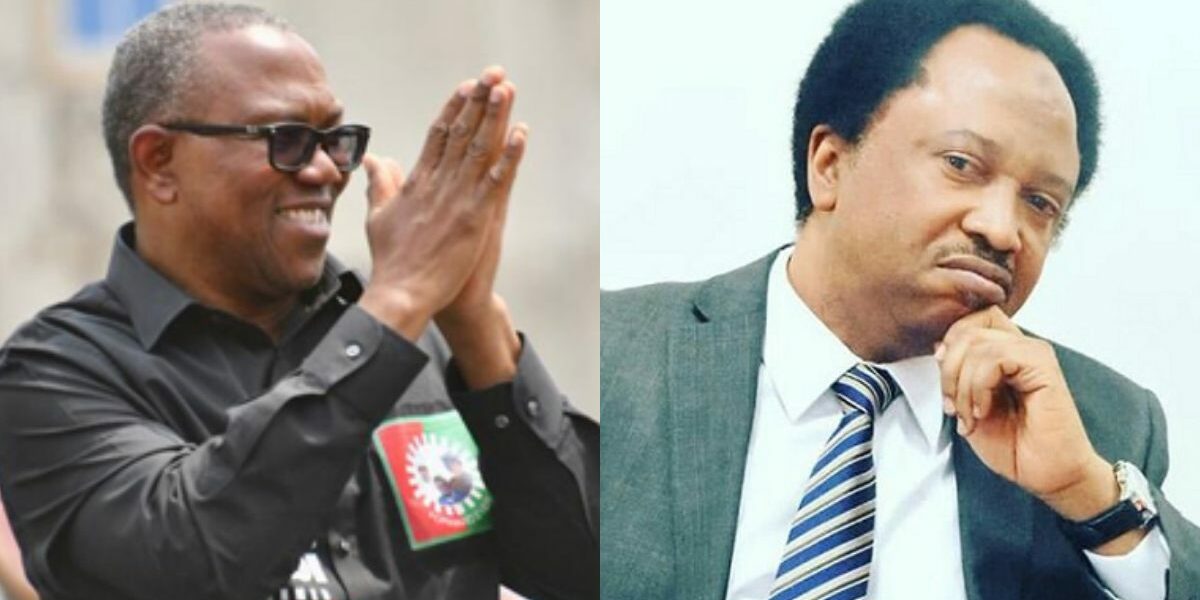 Peter Obi should remain in LP, not join ADC coalition – Shehu Sani