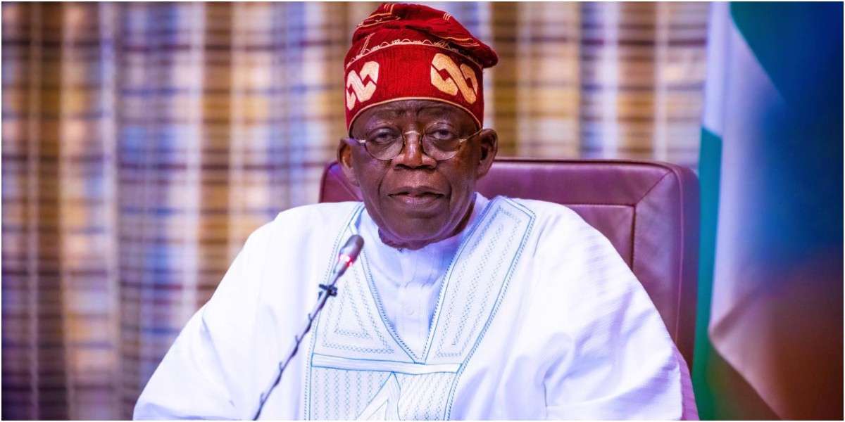 Tinubu bans raw shea nut export for six months
