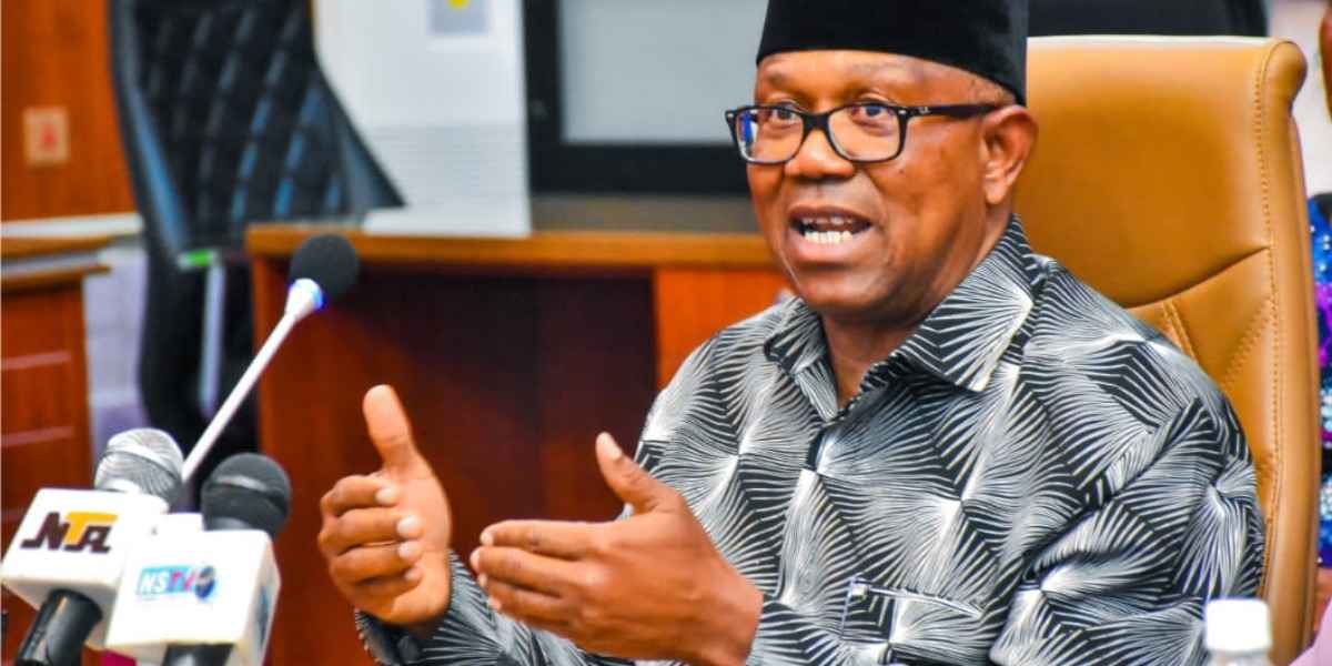 "President should be allowed to serve only 5-year single term and leave" - Peter Obi