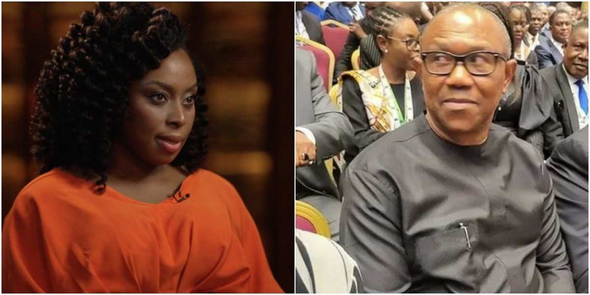 “Peter Obi doesn’t need to be President, he just wants to serve” - Chimamanda