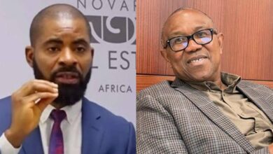 "If Peter doesn't want to be criticised, he should go back to his house and be eating jollof rice" – Deji Adeyanju