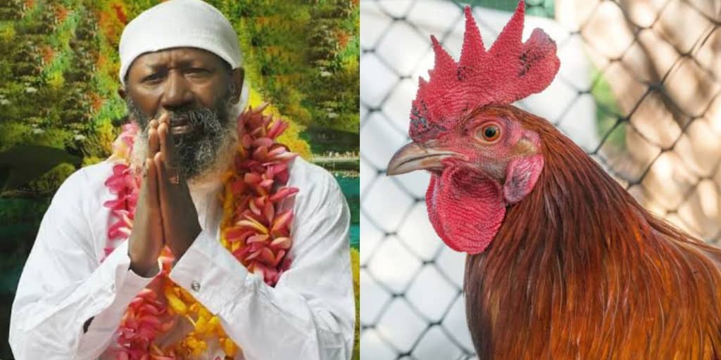 Guru Maharaj Ji claims chicken transformed into aeroplane and brought him to Nigeria