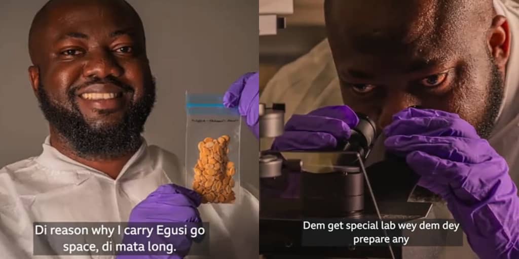 Space scientist takes Egusi from Nigeria to space