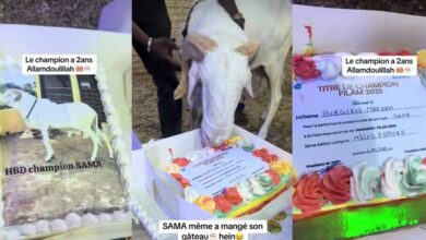 Man throws birthday ceremony for goat, surprises it with cakes and gifts