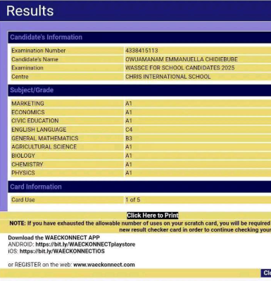 2025 WAEC: WASSCE result of girl goes viral amid mass failure