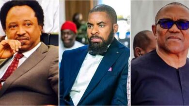 “Not everything in your mind should be posted” – Shehu Sani advises youths amid Peter Obi-Deji saga